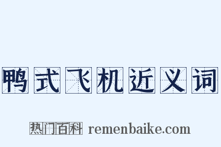 鸭式飞机近义词是什么意思的图片